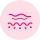 13.fw