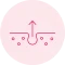 6.fw